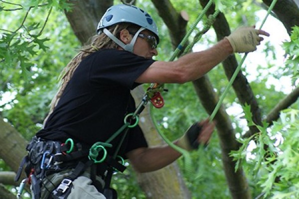 NZARB 2015 REGIONAL TREE CLIMBING DATES