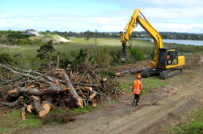 Landclearing